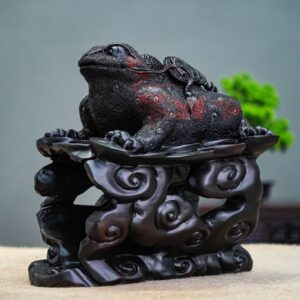Cóc gỗ trắc