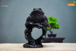 Cóc gỗ trắc