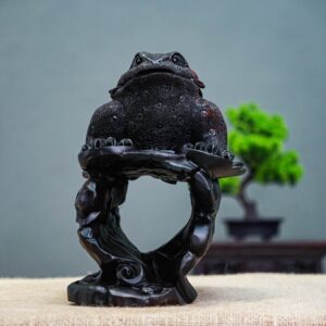 Cóc gỗ trắc