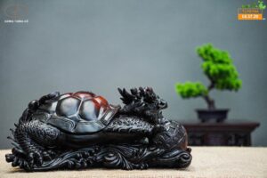 Long quy mẫu tử gôc trắc