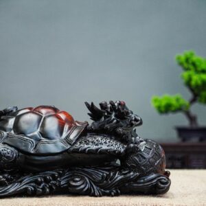 Long quy mẫu tử gôc trắc