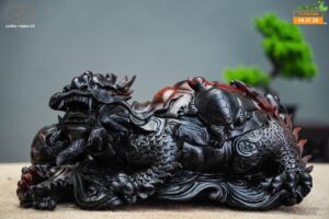 Long quy mẫu tử gôc trắc