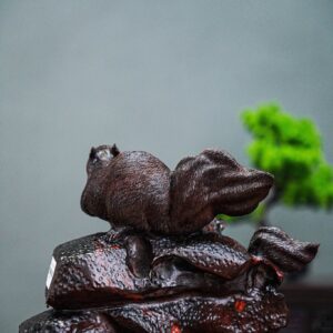 Song sóc gỗ trắc