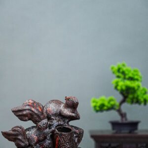Song sóc gỗ trắc