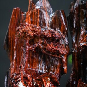 Đạt ma sư tổ gỗ trắc