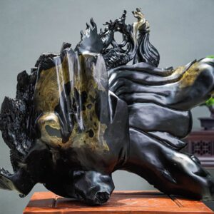 đạt ma hàng long mun sừng