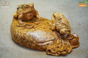 thiềm thừ nu ngọc am