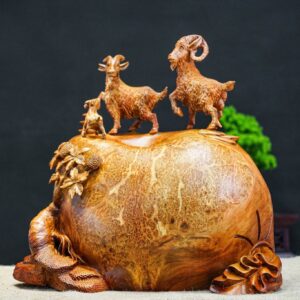 Tam dương nu hương