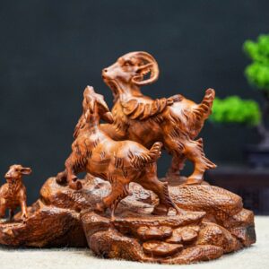Tam dương khai khái