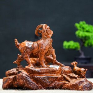 Tam dương khai khái