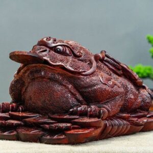 Cóc gỗ tử đàn