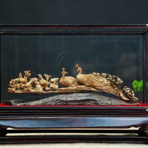 cầu chim hoàng đàn
