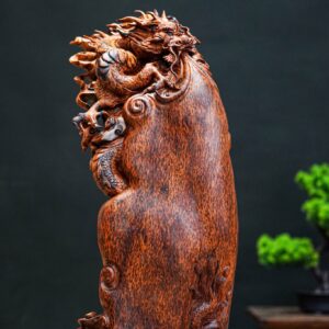 nhất long Nu cẩm