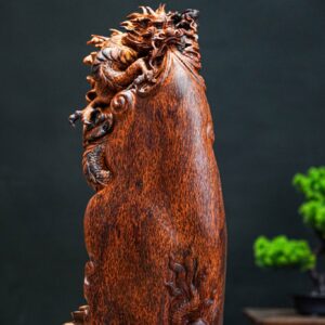 nhất long Nu cẩm