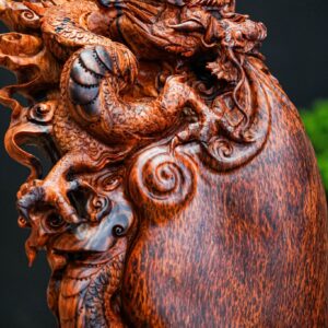 nhất long Nu cẩm