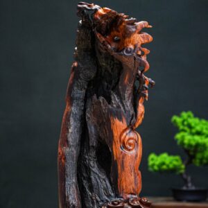 nhất long Nu cẩm