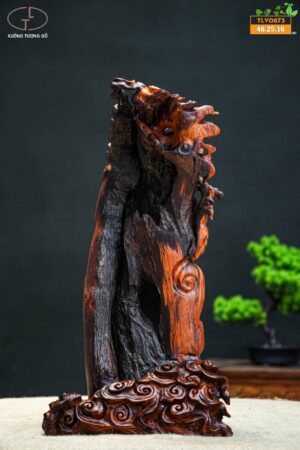 nhất long Nu cẩm