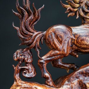 nhất mã nu cẩm