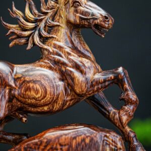nhất mã nu cẩm