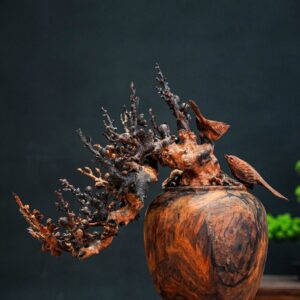 bonsai đào gỗ trắc