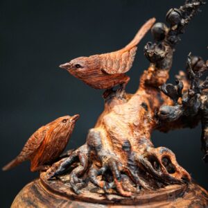 bonsai đào gỗ trắc