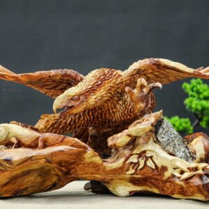 đại bàng săn mồi