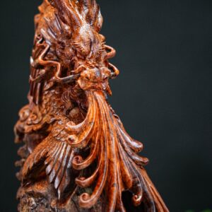 cá chép hoá rồng nu cẩm