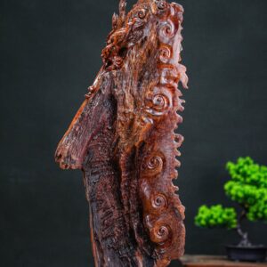 cá chép hoá rồng nu cẩm