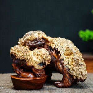 lân sư nu cẩm