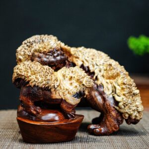 lân sư nu cẩm