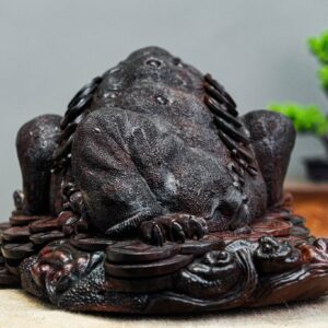 thiềm thừ gỗ trắc