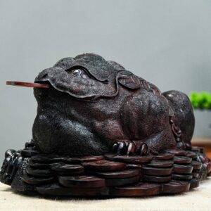 thiềm thừ gỗ trắc
