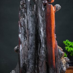 nhất tâm bái phật quan âm