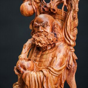 đạt ma gỗ sưa