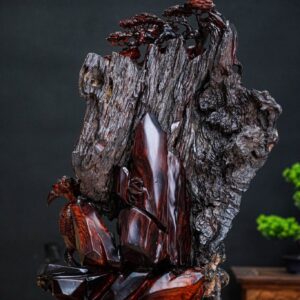 di lặc đứng gốc tùng