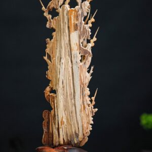 chim trĩ hoa mai