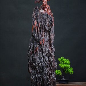 Đạt ma nu cẩm