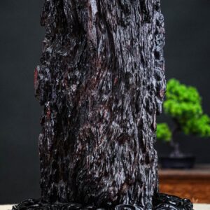 Đạt ma nu cẩm